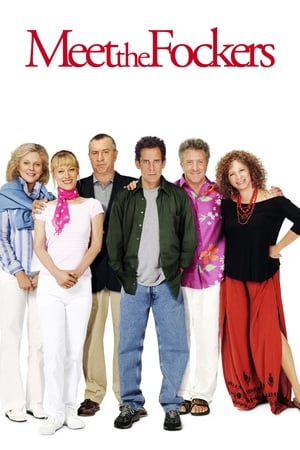 Meet the Fockers 2004 Hindi Dual Audio 720p BluRay [1GB]