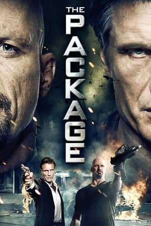 The Package (2013) Hindi Dual Audio 720p HDRip [750MB]